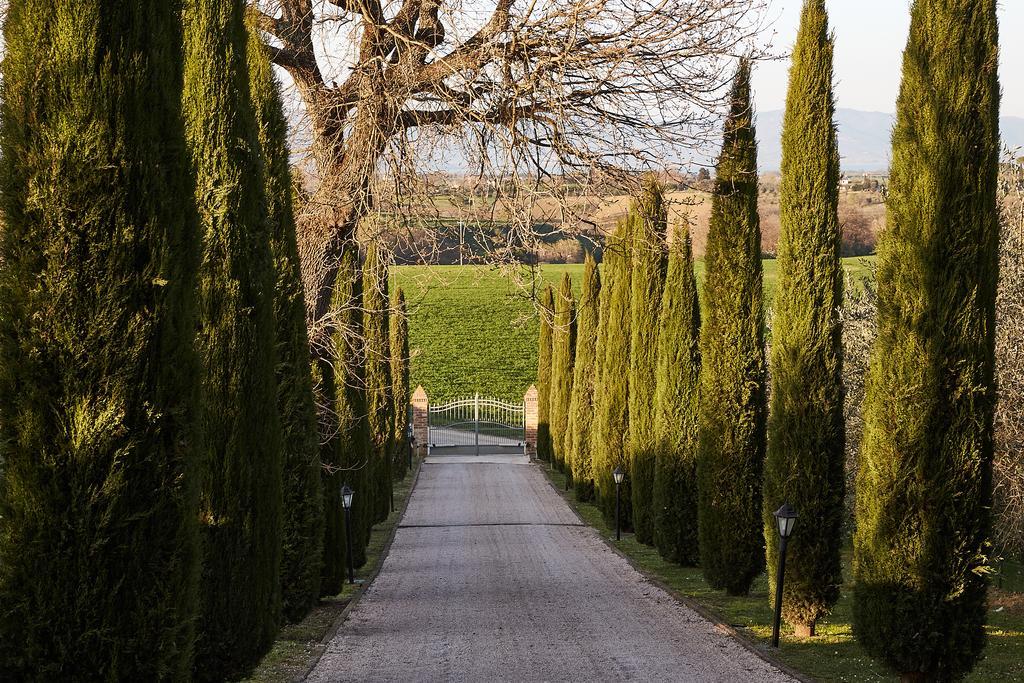 Podere Fontegallo Кастильоне-дель-Лаго Экстерьер фото